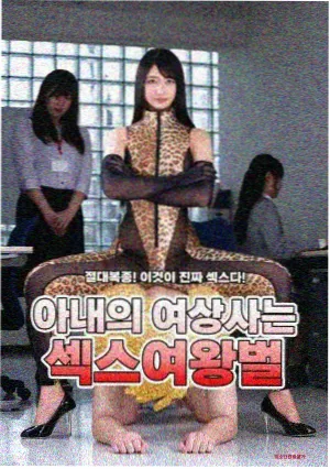 第九纬度剧集封面